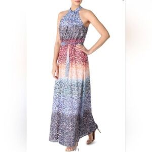 DR Collection by Donna Ricco Keyhole Front Twist Halter Neck Maxi Dress